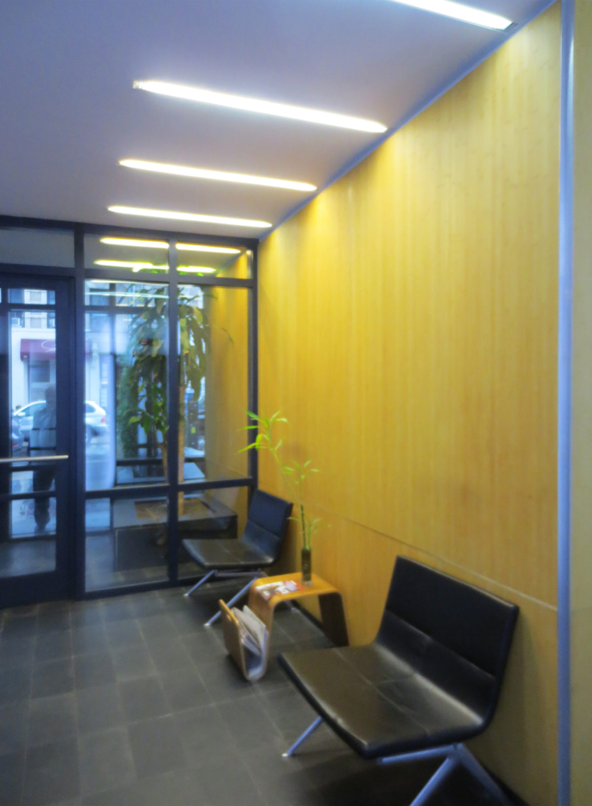 Blue_Residential_Tower-New_York-WikiArquitectura_19