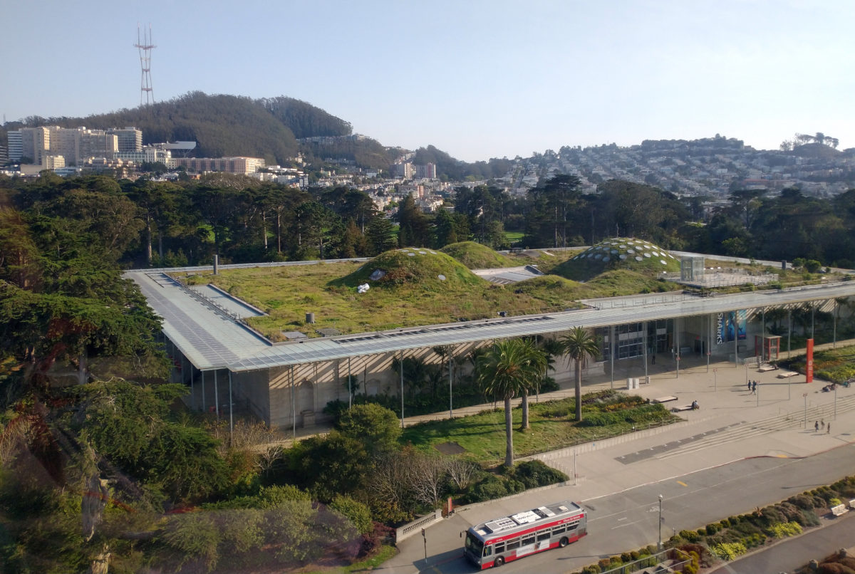 Academia de Ciências de Califórnia