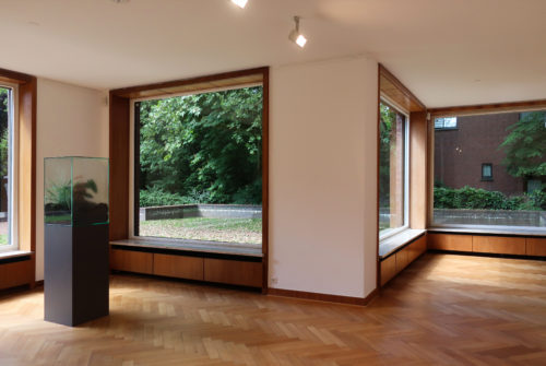 Lange House – Mies van der Rohe – WikiArquitectura_046