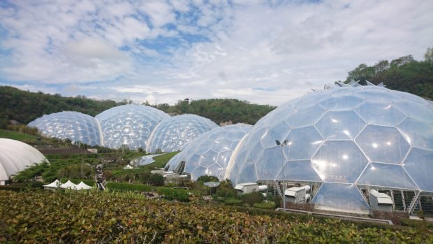 Projeto Eden
